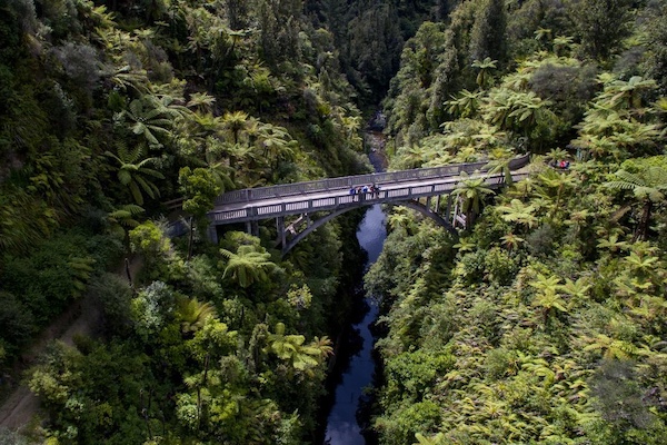 The Bridge To Nowhere Bungy Whanganui River Big Night Out